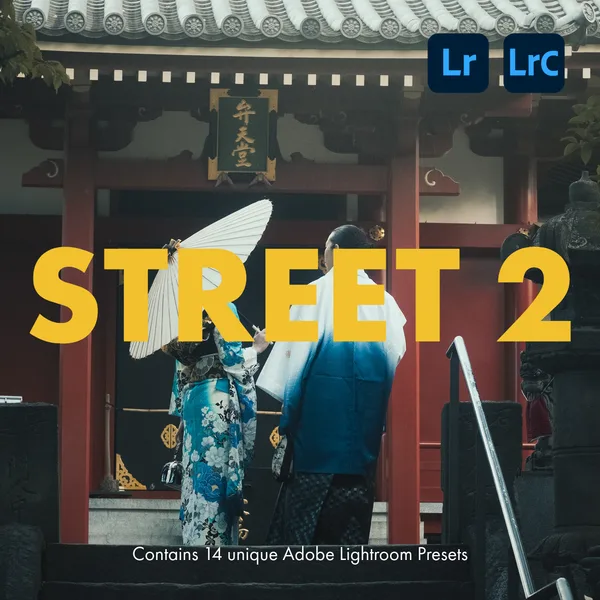 STREET 2 Classic Negative Preset Pack